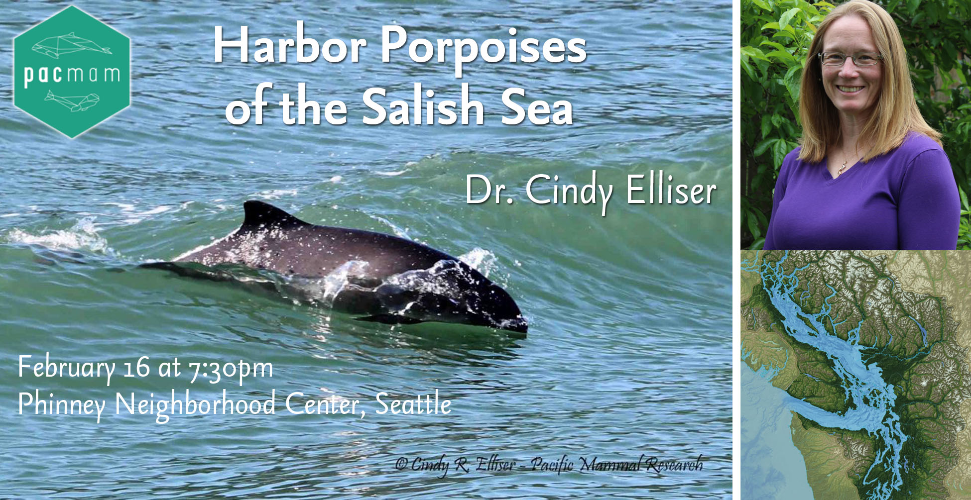 Dr. Cindy Elliser, PacMam, Harbor Porpoises of the Salish Sea