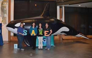 Casey Ralston, Peggy Foreman, Christine Froschl, and Lynne Barre introduce NOAA's new life size inflatable killer whale, J26, Mike.