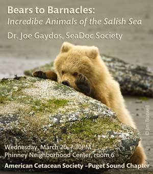 Bears to Barnacles: Incredible Animals of the Salish Sea