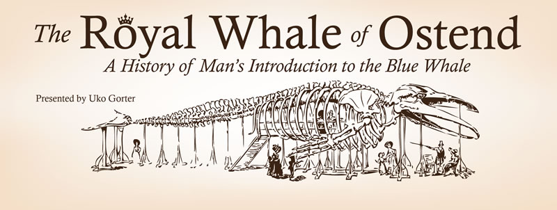 Uko Gorter, the Royal Whale of Ostend; a history of man's introduction to the blue whale