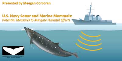 US Navy Sonar and marine mammals, potential measures to mitigate harmful effects, illustration by Uko Gorter
