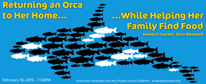 orca graphic composed of chinook salmon by Uko Gorter